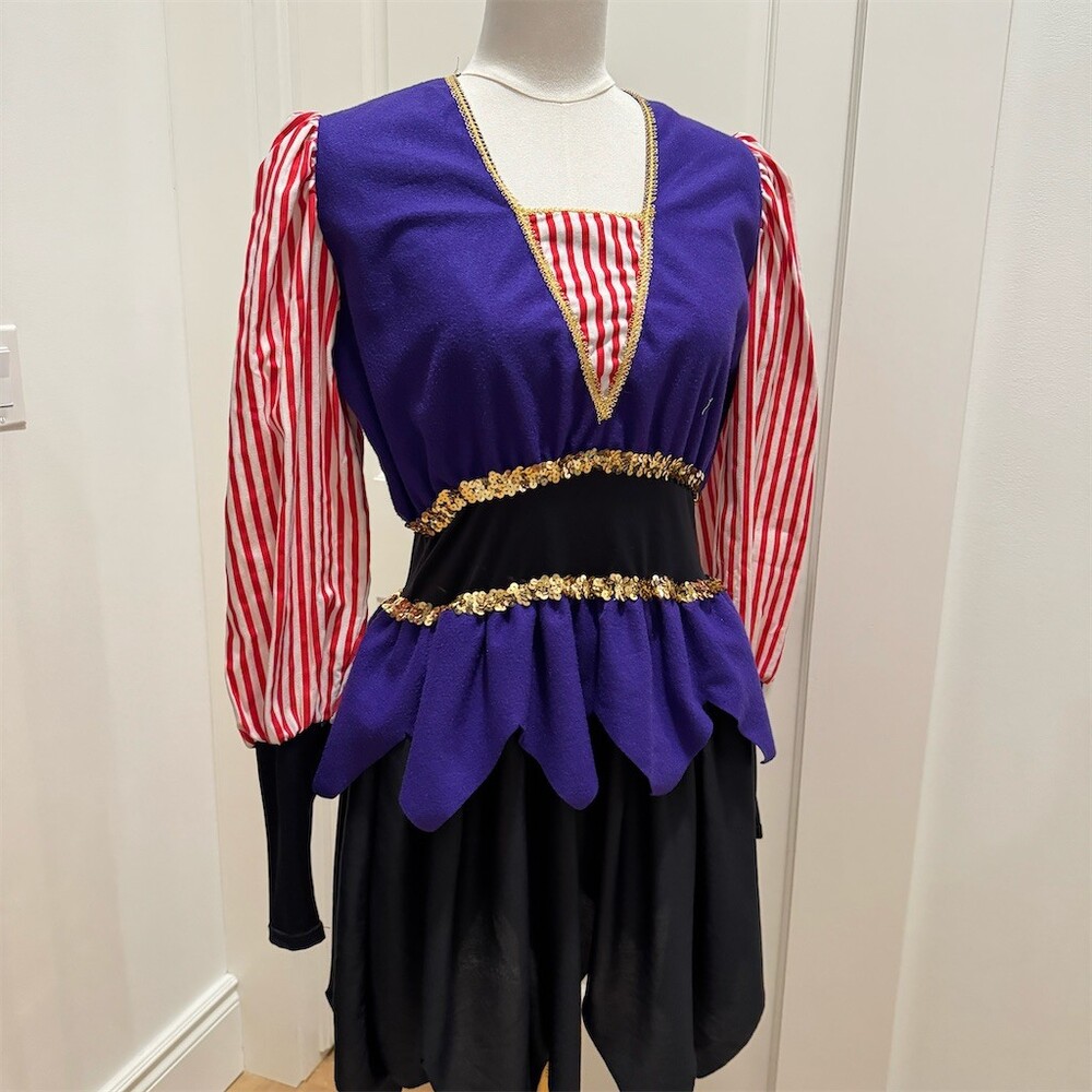Rare Unique Vintage Childcraft Court Jester Harlequin Costume Dress Womens Small